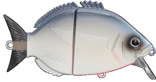 FBL ESPARRALL 100 UV BONE