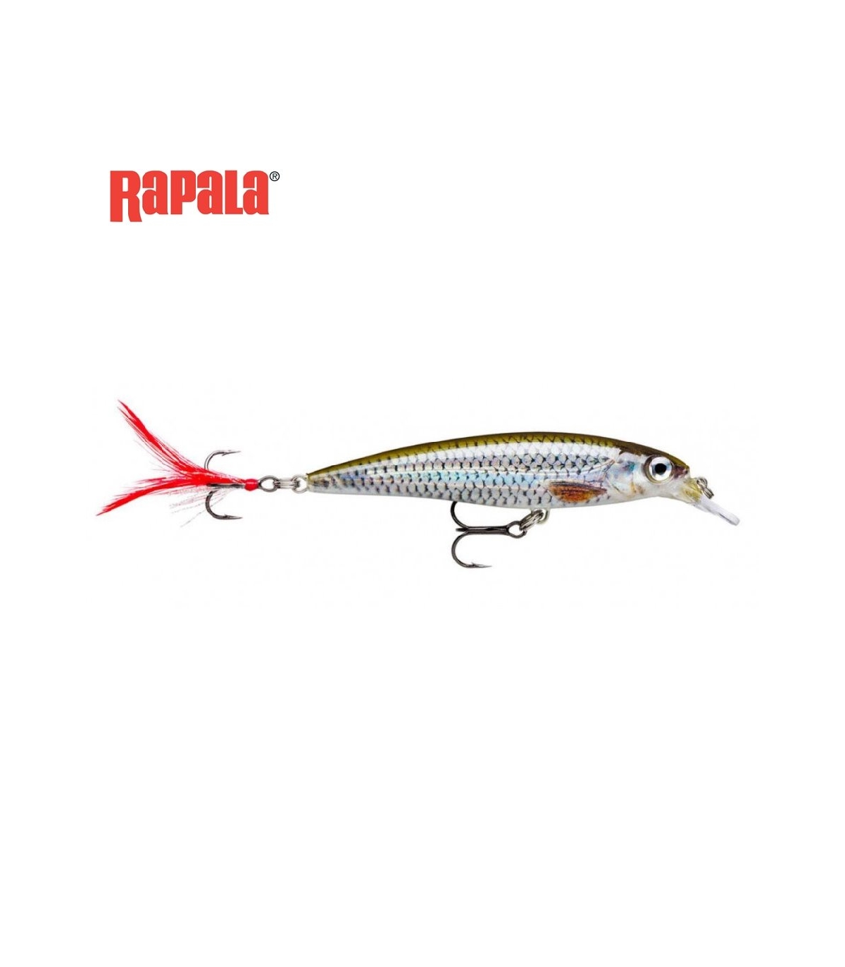 X-RAP 6CM MD