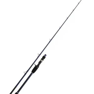 CAÑA DAIWA LEGALIS O JG 642 HB