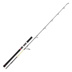 CAÑA DAIWA GRANDWAVE SB 662 XHB OS CASTING
