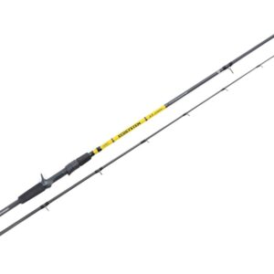 CAÑA HART ECOSYSTEM CASTING C71MH 2.16M 12-40GR